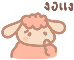 50367068