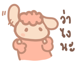 50367072