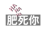 503677677