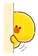 503688004