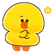 503688005