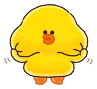 503688010