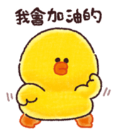 503688017