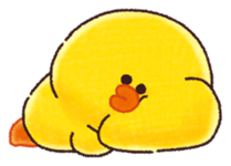 503688018