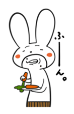 5036954