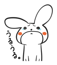 5036961