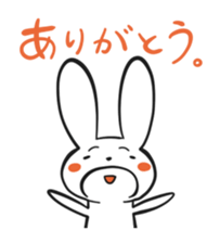 5036981