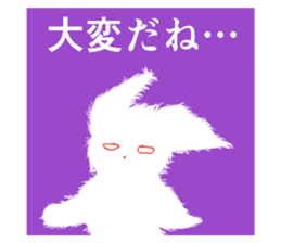 503710232