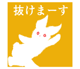 503710242