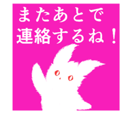503710244