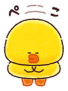 503711603