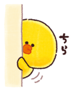 503711620