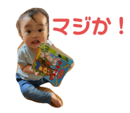 503718042