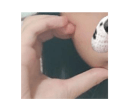 503718436