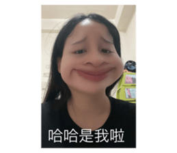 503755467