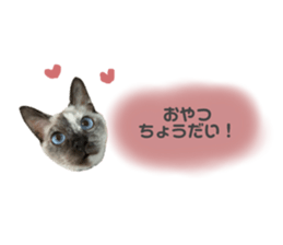 503768822