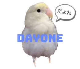 503783174