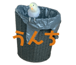 503783195