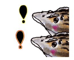 503789308