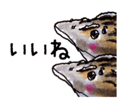 503789309