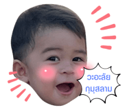 503804504