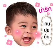 503804506