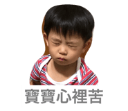 50390089