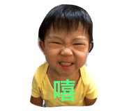 50390093