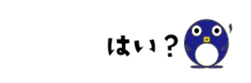 503907155