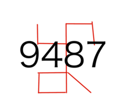 503911253