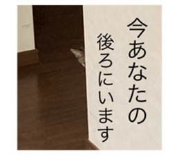 503929003