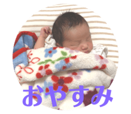 503936549