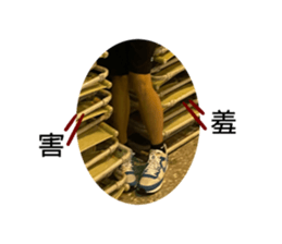503938690