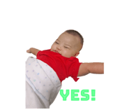 503950427