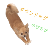 503957198
