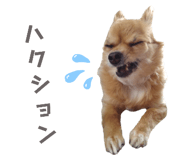503957199