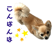 503957372