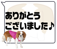503958238