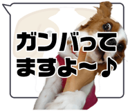 503958239