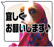 503958245