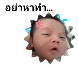 503960069
