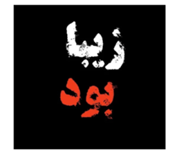 503965722