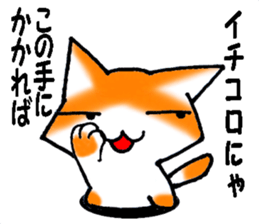 5040050