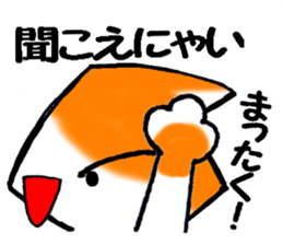 5040057