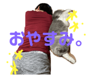 504008082