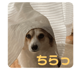 504008494