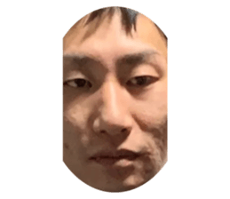 504008941