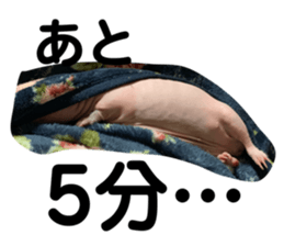504011065