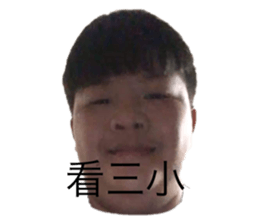 504019238