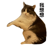 504020498